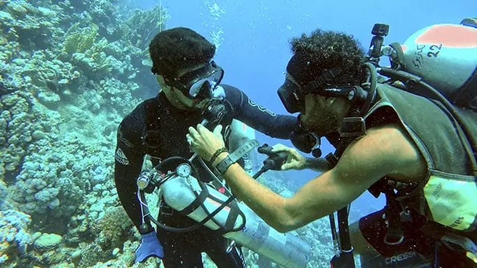 scuba diving suit brands