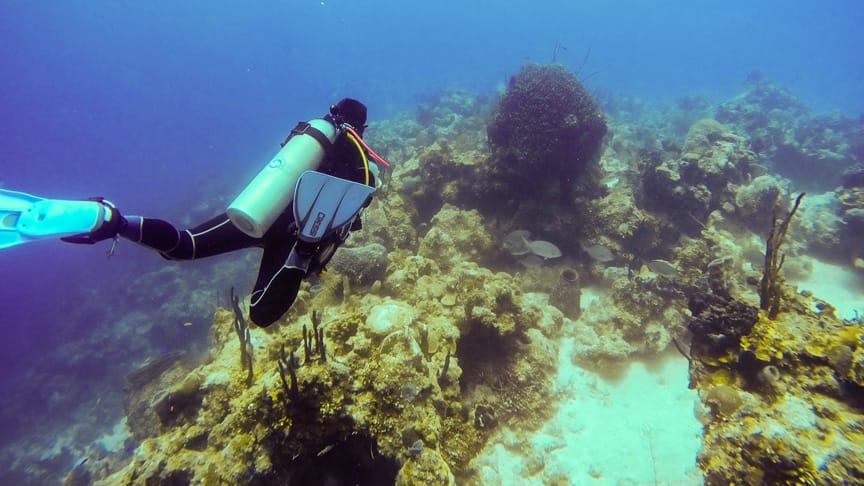 Exploring the Depths: Snorkeling vs Scuba Diving - Which Underwater Adventure is Right for You?